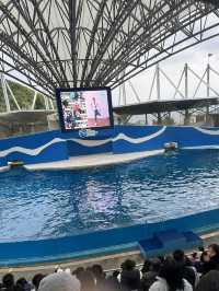 N訪花蓮遠雄海洋公園 東部最佳親子景點
