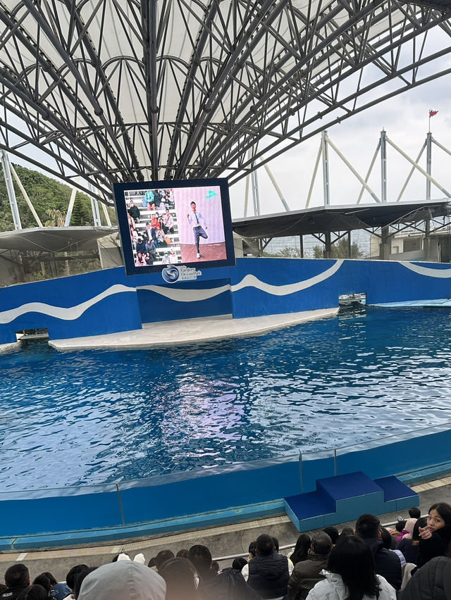 N訪花蓮遠雄海洋公園 東部最佳親子景點