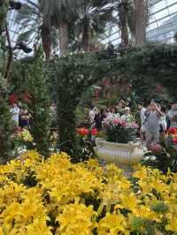 Flower Dome💐🌸🌺🌻