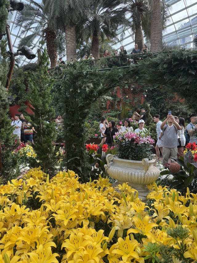 Flower Dome💐🌸🌺🌻