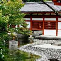 Uji Byodoin — A Stunning Millennium-Old Temple 🏯✨