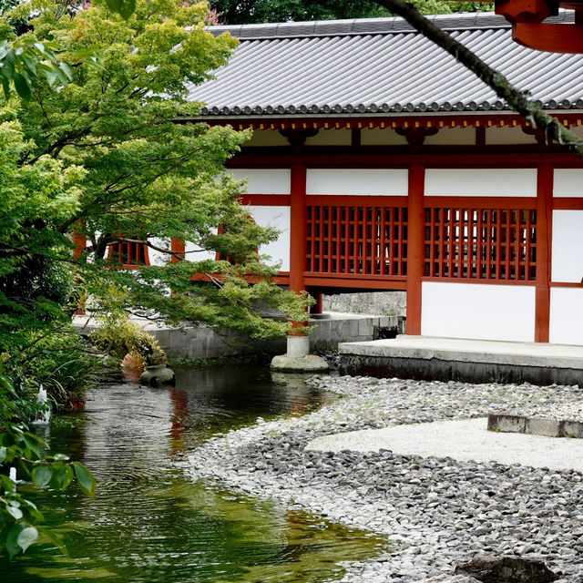 Uji Byodoin — A Stunning Millennium-Old Temple 🏯✨