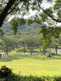 想不到深圳中山公園是這麼吸引的！！