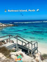 🏝️ Rottnest Island, Perth – A Perfect Day Trip Escape 🌊🐾