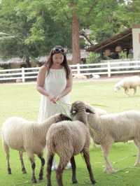 The scenery farm สวนผึ้ง
