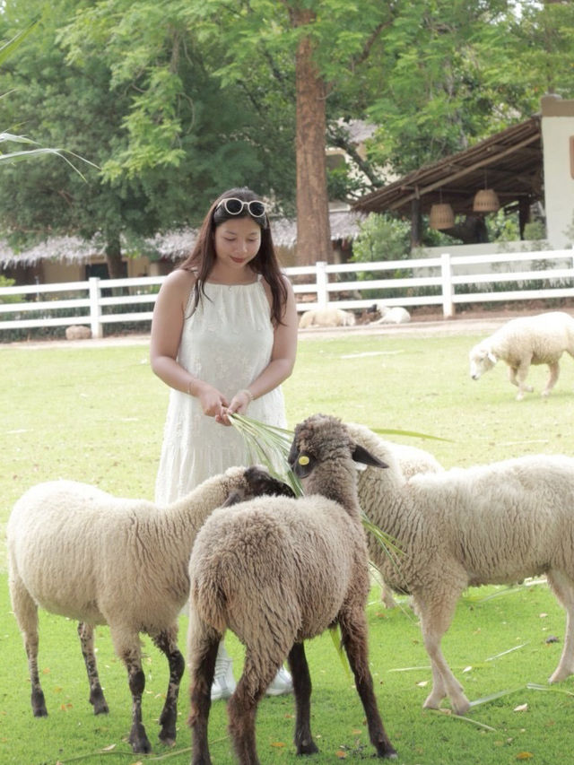 The scenery farm สวนผึ้ง