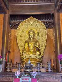 Big wild goose pagoda | เจดีย์ห่านป่าใหญ่
