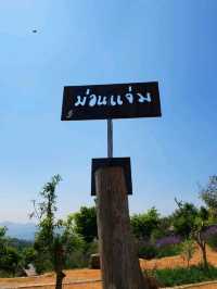 ม่อนแจ่ม - เชียงใหม่ 
