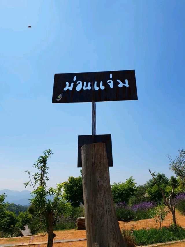 ม่อนแจ่ม - เชียงใหม่ 
