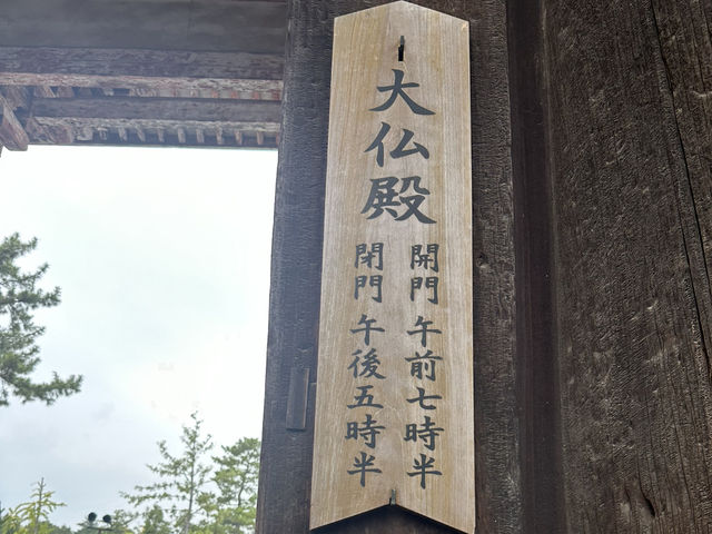 東大寺：在奈良探訪千年古寺，感受佛教文化的莊嚴與美麗！