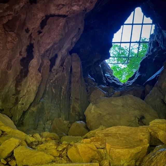 Hidden Gem with Big Forest Energy