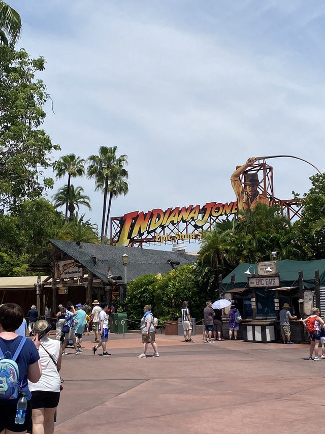 🏰 Walt Disney World 