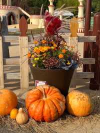 【名古屋】🍂 ジブリパーク