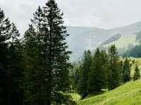 Rigi by Rail – A Peaceful Ascent with Epic Views