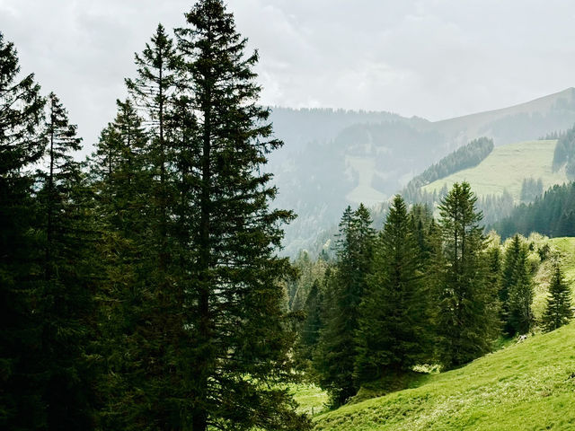 Rigi by Rail – A Peaceful Ascent with Epic Views