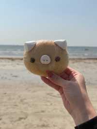 鎌倉のんびりひとり旅はいかがですか？🍃
