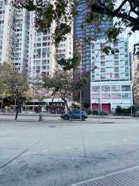 เดินเล่นริมทะเล Kennedy Town Waterfront