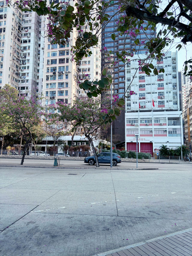 เดินเล่นริมทะเล Kennedy Town Waterfront
