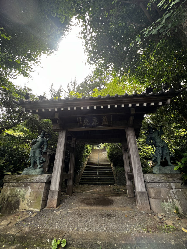 木に会いに行く旅って、ちょっと素敵だと思いませんか？🇯🇵✈️🌎 