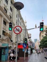 Nanjing Road Pedestrian Street: A Grand Architectural Stroll