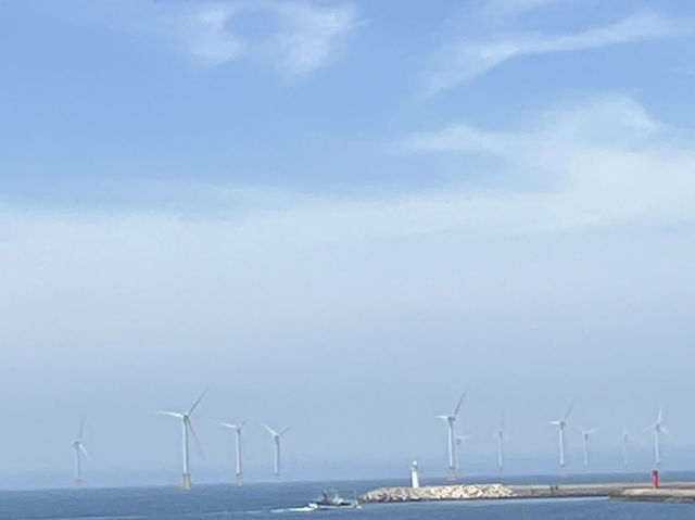제주 협재 카페 웨이뷰