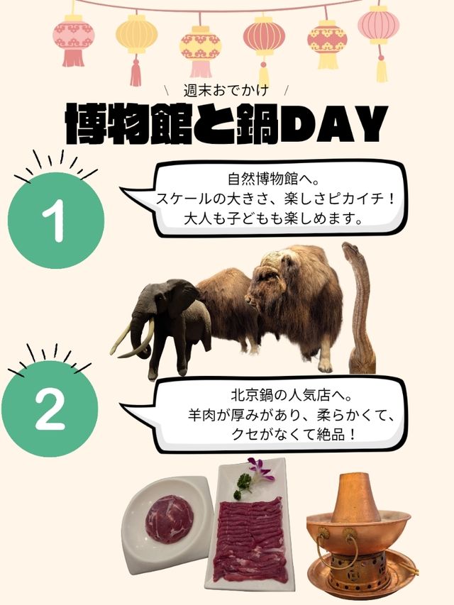 🇨🇳超巨大！自然博物館へ