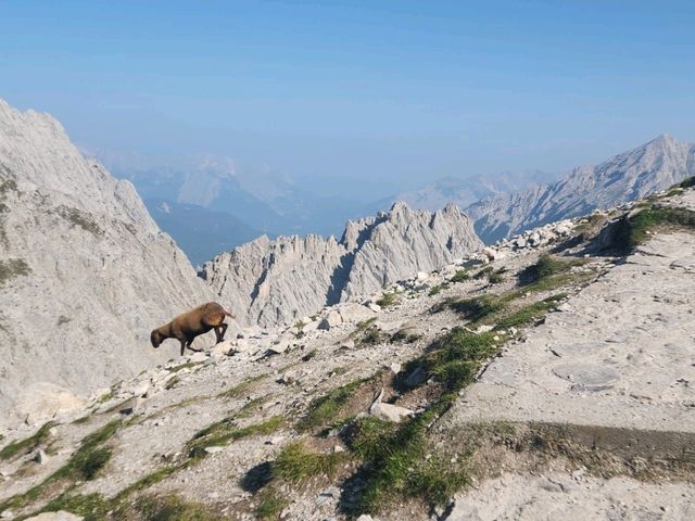 前往因斯布魯克搭乘北山纜車