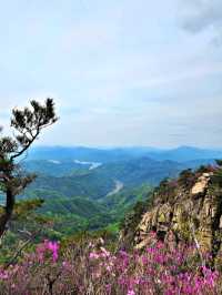 A Hidden Gem in Hongcheon