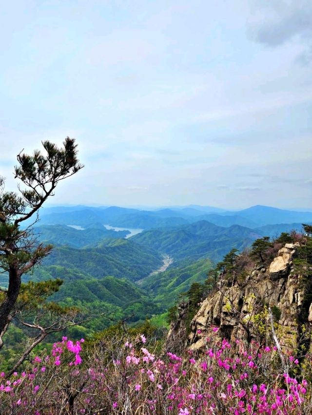 A Hidden Gem in Hongcheon