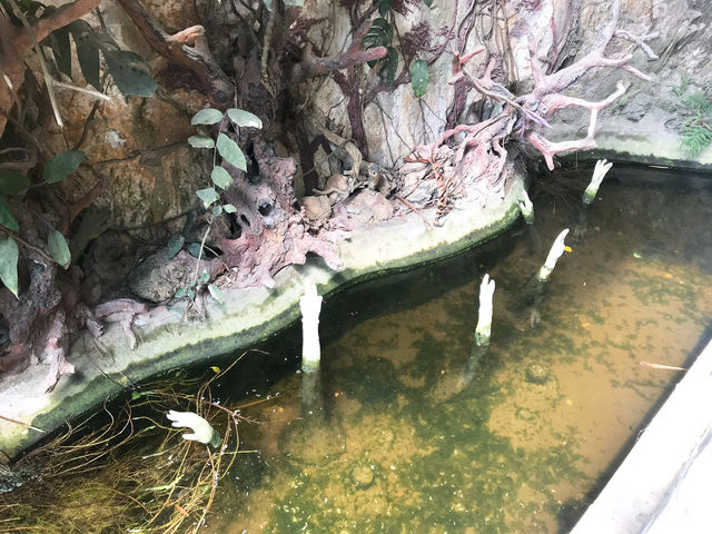 あの西遊記で知られるダナンに来たら絶対行くべきパワースポット🏔