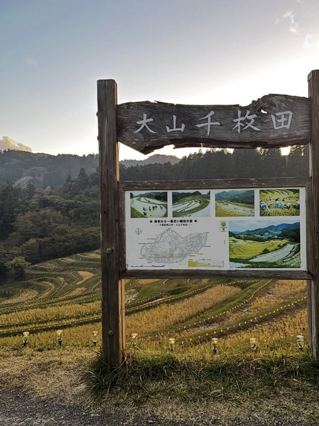 🌾日本の原風景に癒される「大山千枚田」で心洗われる旅を