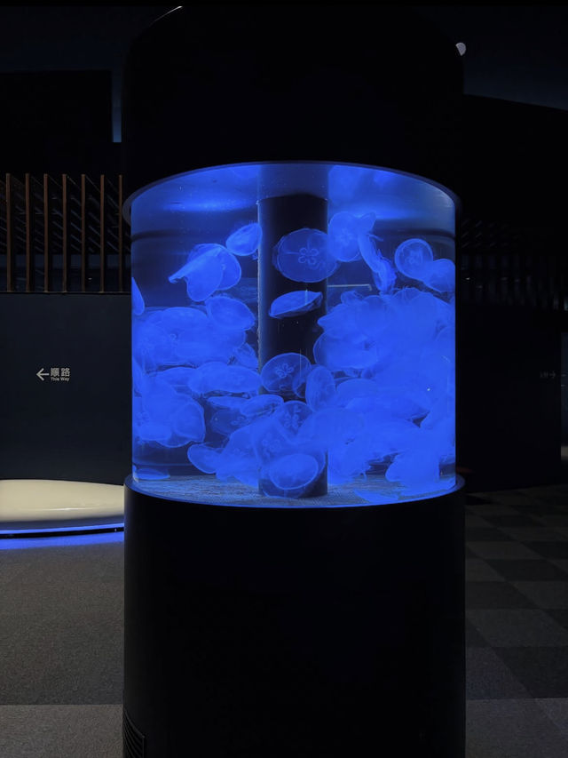 新潟市にある「マリンピア日本海」は、日本海側最大級の水族館