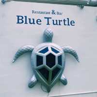 미야코지마 블루 터틀 투어 – 바다 위 액티비티와 바다거북의 조우 🌊🐢