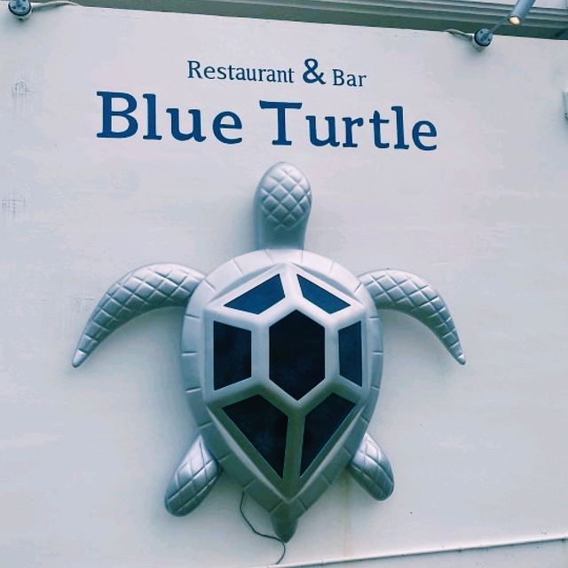 미야코지마 블루 터틀 투어 – 바다 위 액티비티와 바다거북의 조우 🌊🐢