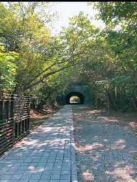 🌿 走進時光的鐵道旅程：崎頂車站與子母隧道，一段慢活系的午後散步