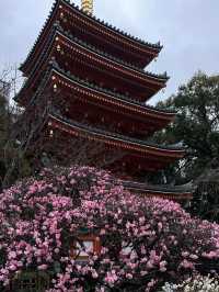 Tochoji Temple — My Peaceful Escape in Fukuoka 🌿🛕