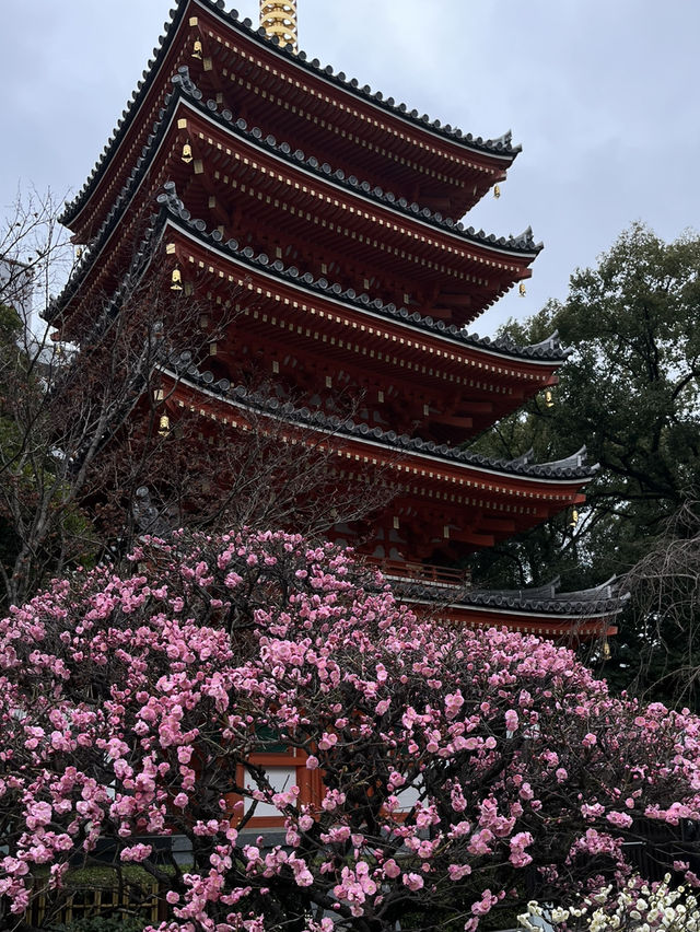 Tochoji Temple — My Peaceful Escape in Fukuoka 🌿🛕