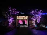 ♨️ Soothing Luxury in Iizaka – A Rejuvenating Soak at Hanamomo no Yu