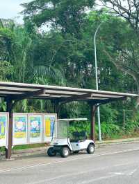 Where Sundays Bloom: A Morning at Taman Wetland Putrajaya