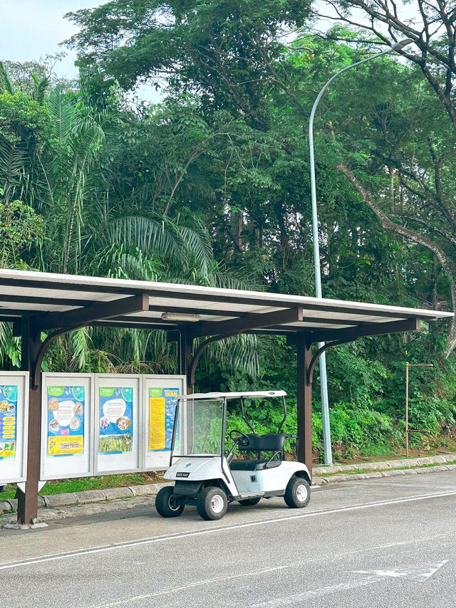 Where Sundays Bloom: A Morning at Taman Wetland Putrajaya