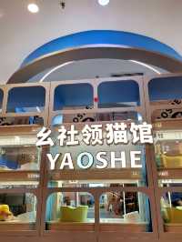 Yaoshe Cat Adoption 
