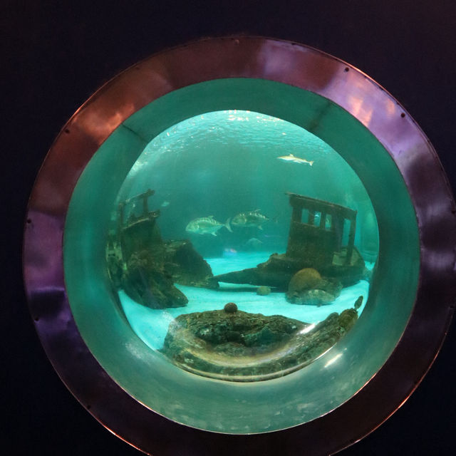Bangsaen Aquarium เที่ยวชิล ๆ ได้ความรู้ไปด้วย 