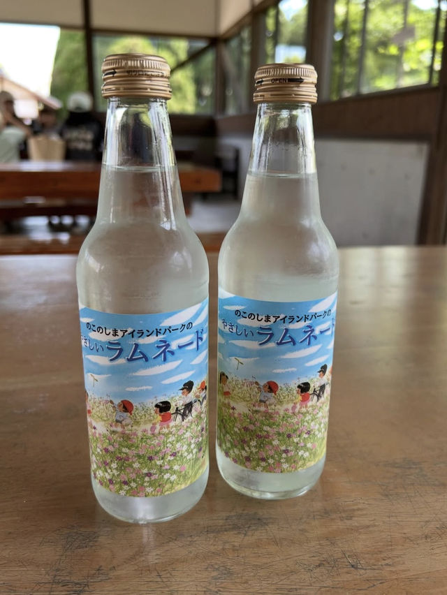 【福岡の隠れ楽園🌺】能古島でのんびり島時間を満喫しよう