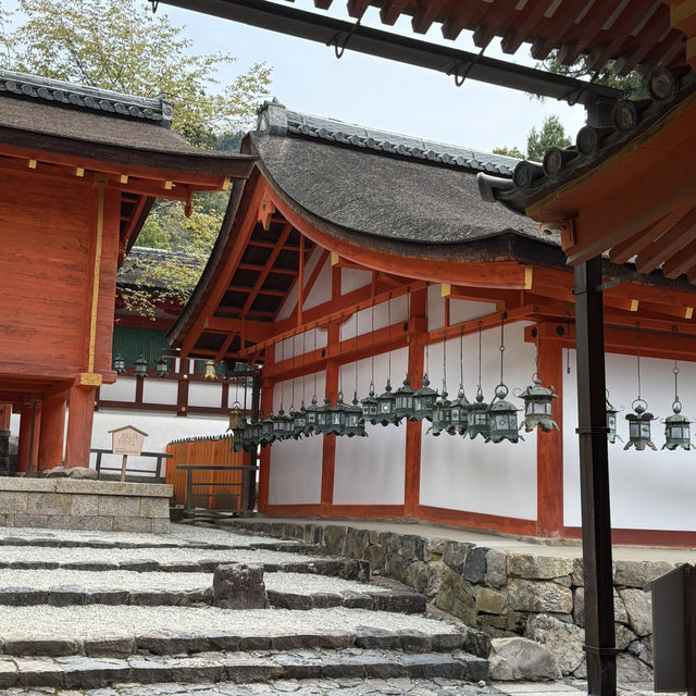 📍Day Trip from Osaka: Nara & Uji ✨