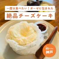 【神戸 元町】ガーゼに包まれた絶品レアチーズケーキが食べれるカフェ