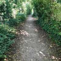 Thames Path at Mapledurham Lock
