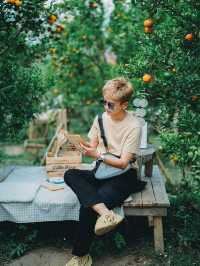 สวนส้มจินจู JINJU the orange farm 