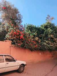 【女子旅のすすめ🎀】アフリカ大陸モロッコへ🇲🇦