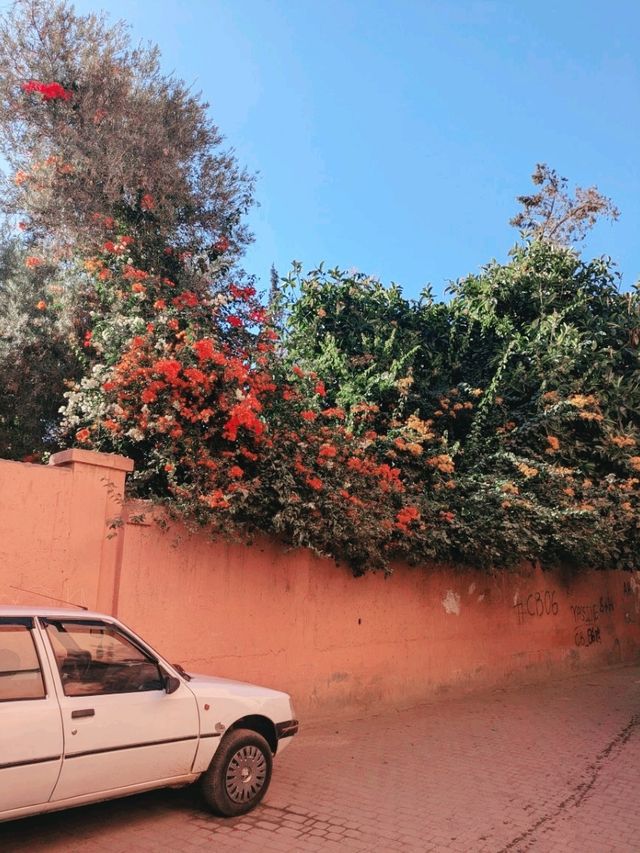 【女子旅のすすめ🎀】アフリカ大陸モロッコへ🇲🇦