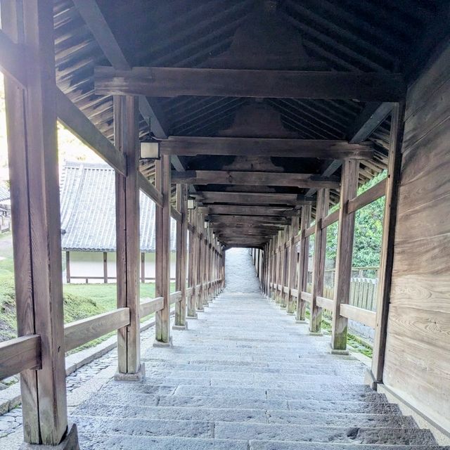 奈良 | 東大寺二月堂，登高遠眺好去處